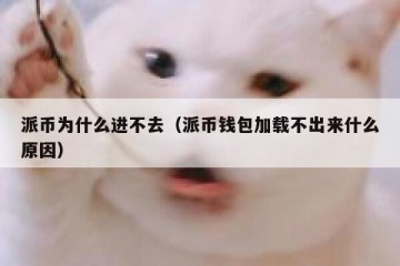 派币为什么进不去（派币钱包加载不出来什么原因）