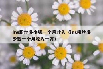 ins粉丝多少钱一个月收入（ins粉丝多少钱一个月收入一万）