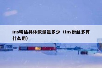 ins粉丝具体数量是多少（ins粉丝多有什么用）