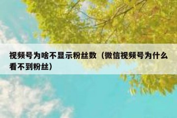 视频号为啥不显示粉丝数（微信视频号为什么看不到粉丝）