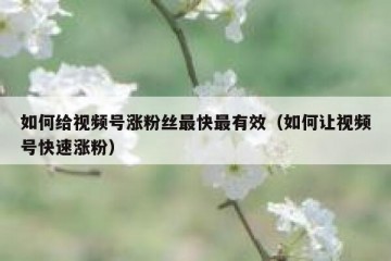 如何给视频号涨粉丝最快最有效（如何让视频号快速涨粉）