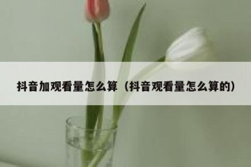 抖音加观看量怎么算（抖音观看量怎么算的）