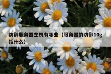 防御服务器主机有哪些（服务器的防御10g指什么）