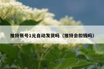 推特账号1元自动发货吗（推特会扣钱吗）