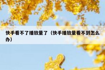 快手看不了播放量了（快手播放量看不到怎么办）