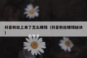 抖音粉丝上来了怎么赚钱（抖音粉丝赚钱秘诀）