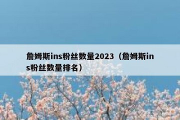 詹姆斯ins粉丝数量2023（詹姆斯ins粉丝数量排名）