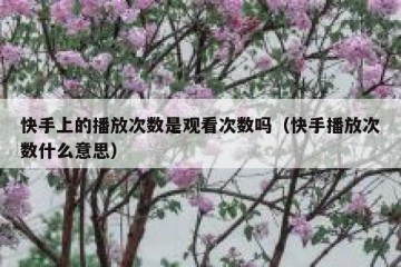 快手上的播放次数是观看次数吗（快手播放次数什么意思）