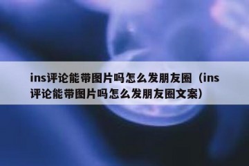 ins评论能带图片吗怎么发朋友圈（ins评论能带图片吗怎么发朋友圈文案）