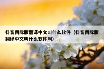 抖音国际版翻译中文叫什么软件（抖音国际版翻译中文叫什么软件啊）
