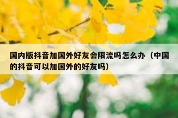 国内版抖音加国外好友会限流吗怎么办（中国的抖音可以加国外的好友吗）