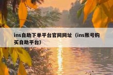 ins自助下单平台官网网址（ins账号购买自助平台）