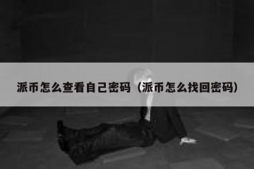 派币怎么查看自己密码（派币怎么找回密码）