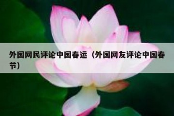外国网民评论中国春运（外国网友评论中国春节）
