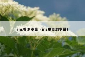 ins看浏览量（ins主页浏览量）