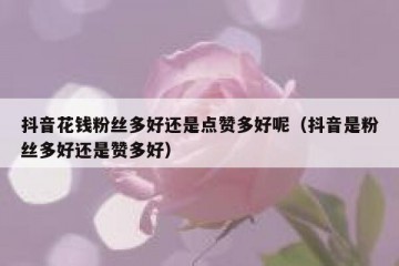 抖音花钱粉丝多好还是点赞多好呢（抖音是粉丝多好还是赞多好）