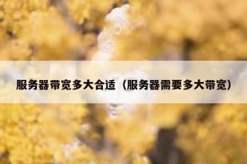 服务器带宽多大合适（服务器需要多大带宽）