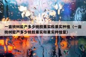 一亩桃树能产多少桃胶果实和果实种植（一亩桃树能产多少桃胶果实和果实种植量）