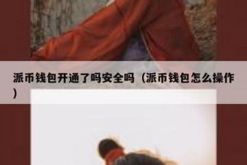派币钱包开通了吗安全吗（派币钱包怎么操作）