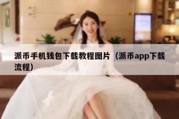 派币手机钱包下载教程图片（派币app下载流程）