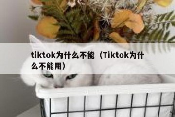 tiktok为什么不能（Tiktok为什么不能用）