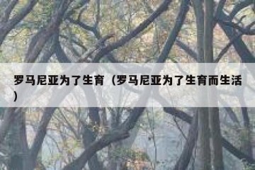 罗马尼亚为了生育（罗马尼亚为了生育而生活）