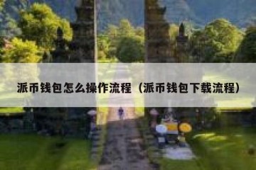 派币钱包怎么操作流程（派币钱包下载流程）