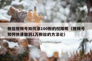 微信视频号如何涨100粉的权限呢（视频号如何快速做到1万粉丝的方法论）
