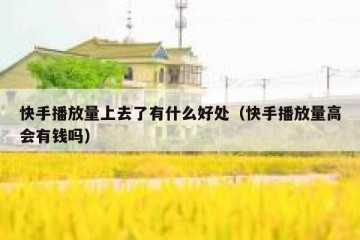 快手播放量上去了有什么好处（快手播放量高会有钱吗）