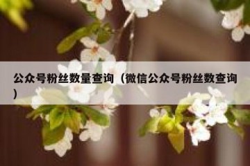 公众号粉丝数量查询（微信公众号粉丝数查询）
