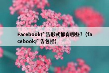 Facebook广告形式都有哪些?（facebook广告包括）