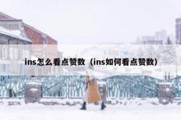 ins怎么看点赞数（ins如何看点赞数）