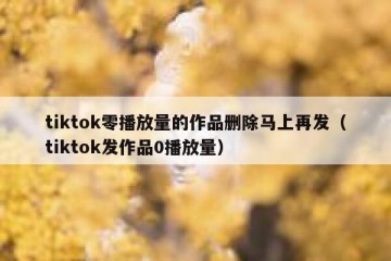 tiktok零播放量的作品删除马上再发（tiktok发作品0播放量）