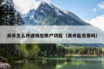 派币怎么开通钱包账户功能（派币能交易吗）