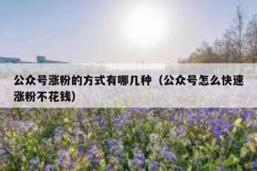 公众号涨粉的方式有哪几种（公众号怎么快速涨粉不花钱）