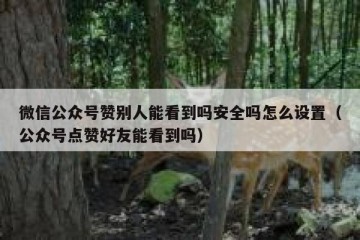 微信公众号赞别人能看到吗安全吗怎么设置（公众号点赞好友能看到吗）