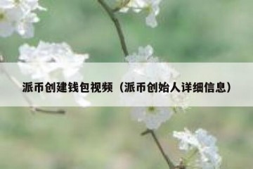 派币创建钱包视频（派币创始人详细信息）
