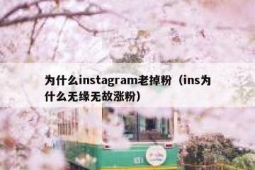 为什么instagram老掉粉（ins为什么无缘无故涨粉）