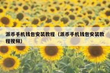 派币手机钱包安装教程（派币手机钱包安装教程视频）