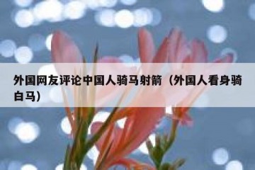外国网友评论中国人骑马射箭（外国人看身骑白马）