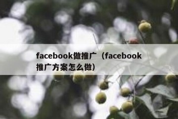 facebook做推广（facebook推广方案怎么做）