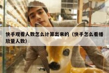 快手观看人数怎么计算出来的（快手怎么看播放量人数）