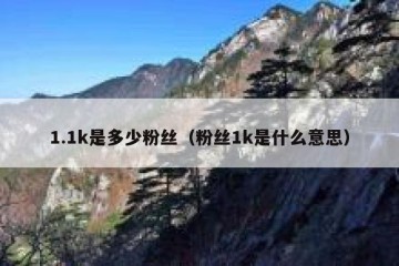 1.1k是多少粉丝（粉丝1k是什么意思）