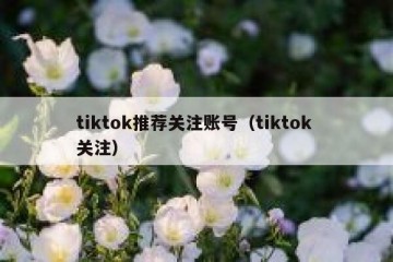 tiktok推荐关注账号（tiktok 关注）