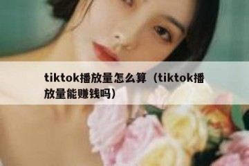 tiktok播放量怎么算（tiktok播放量能赚钱吗）