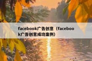 facebook广告创意（facebook广告创意成功案例）