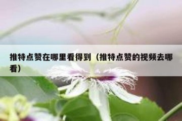 推特点赞在哪里看得到（推特点赞的视频去哪看）