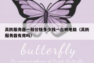 高防服务器一般价格多少钱一台啊电脑（高防服务器有用吗）