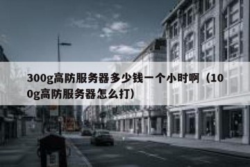 300g高防服务器多少钱一个小时啊（100g高防服务器怎么打）