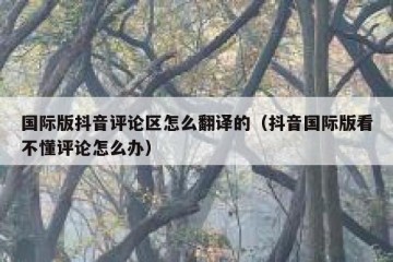 国际版抖音评论区怎么翻译的（抖音国际版看不懂评论怎么办）